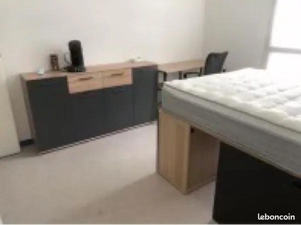 Studio meublé Nancy place des Vosges dispo mars 2026 