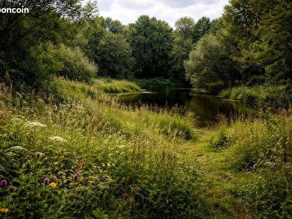 Prairie avec étang 