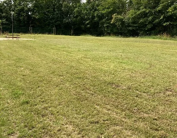 Terrain 1074 m² SURY ES BOIS 