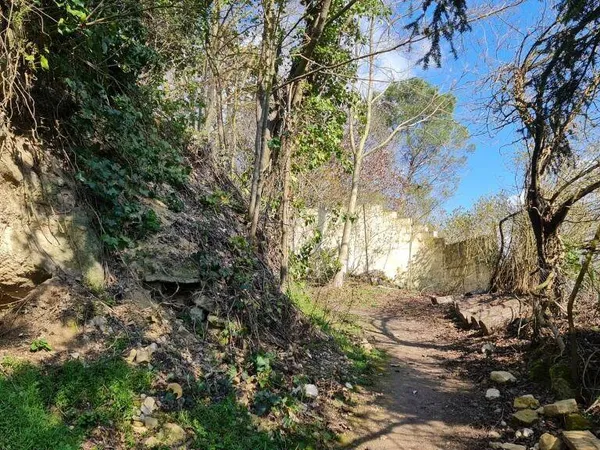 Studio 1 pièce 50 m² 