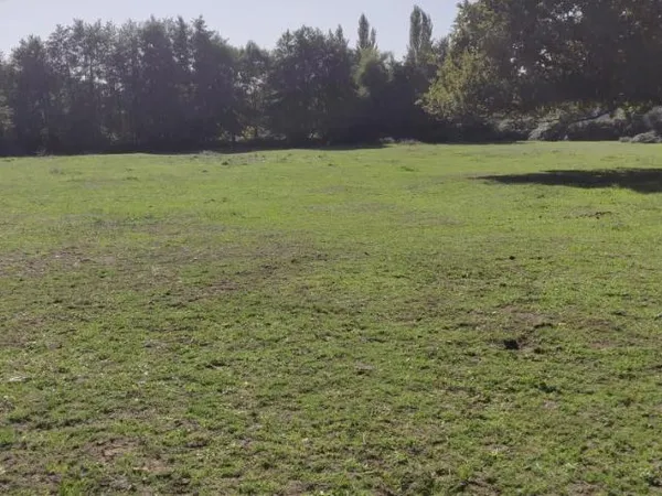 Terrain 1289 m² 