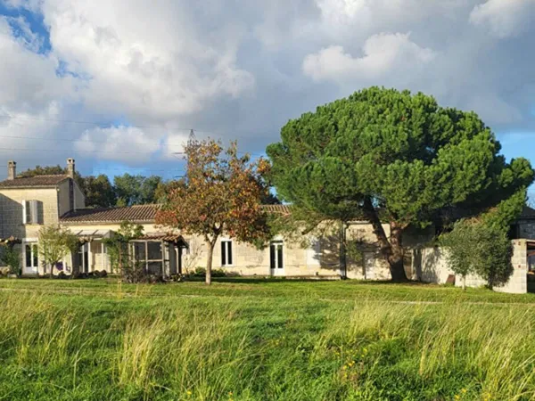 Maison 11 pièces 252 m² 