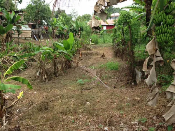 TERRAIN CONSTRUCTIBLE ST JOSEPH - 745 m2 
