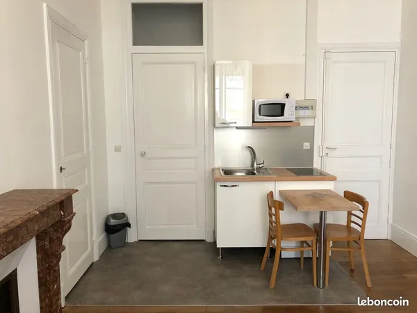 Studio entièrement rénové à louer, 7 rue Casimir Brenier, Grenoble 