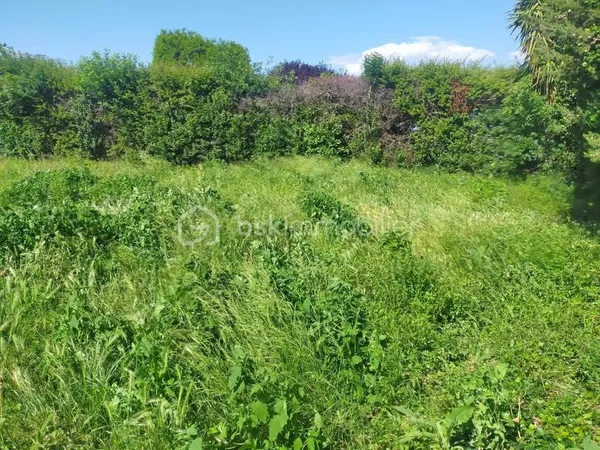 TERRAIN DE 1000 M² CONSTRUCTIBLE 
