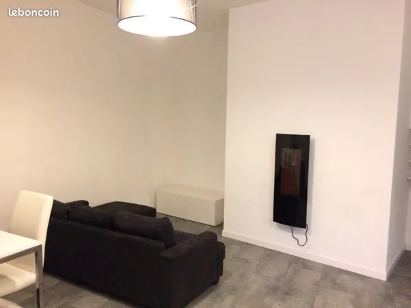 Appartement T1Bis à louer 