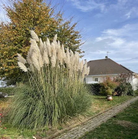 Maison 4 pièces 94 m² 