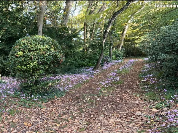 Terrain 1300 m² BRUGES 