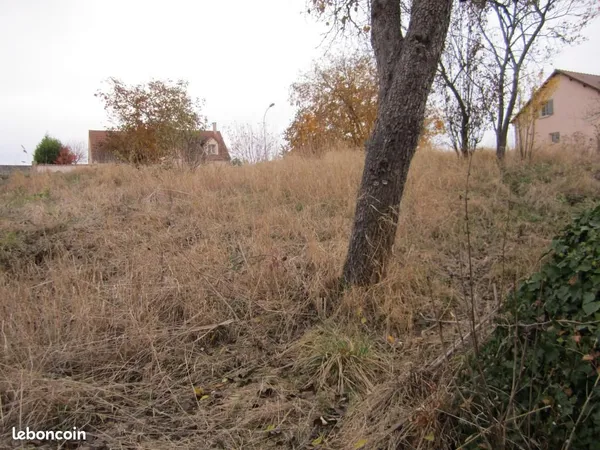 Terrain 1 278 m² Venouse 