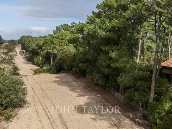 le canon - entre foret et ocean, l'ame originelle du cap ferret 