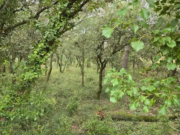 Terrain à bâtir 