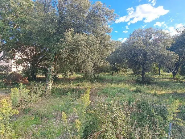 Propriété 