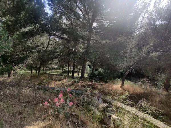 Terrain 1989 m² 