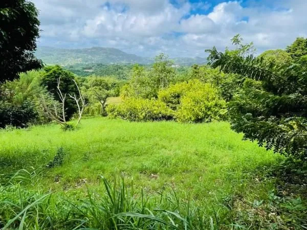 Terrain 1 200 m² Le Vauclin 