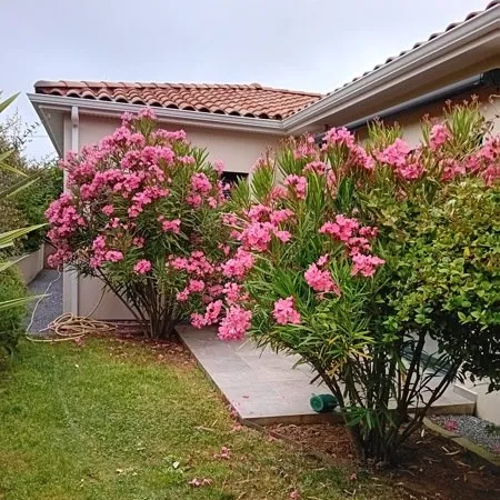 Pavillon 5 pièces 135 m² 