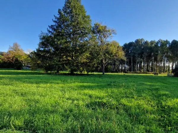 Terrain 1602 m² 