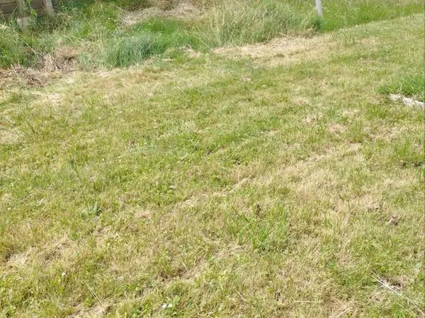Terrain viabilisé 