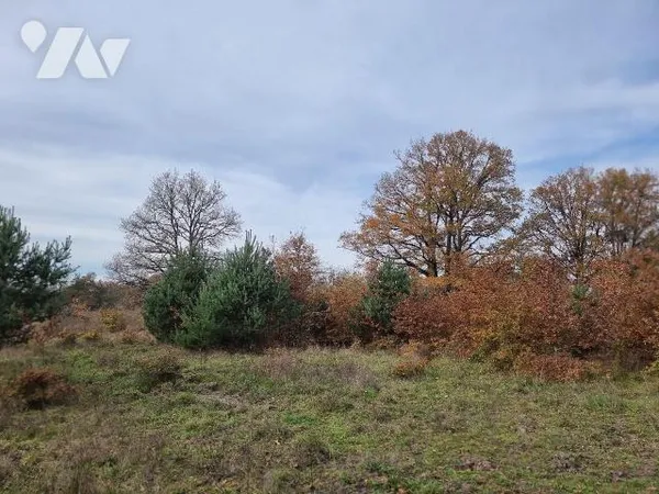 Terrain 76367 m² 