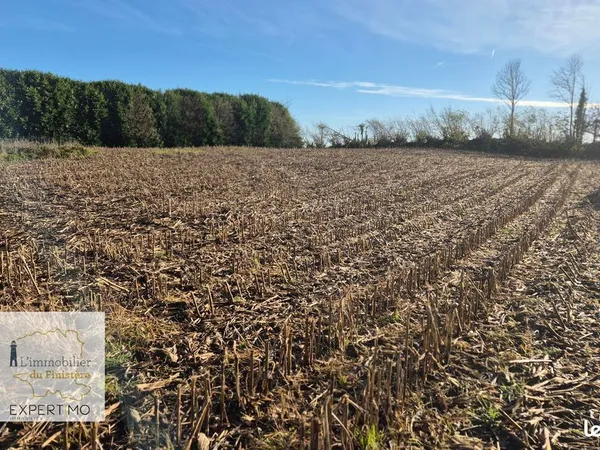 Terrain 650 m² Tourch 