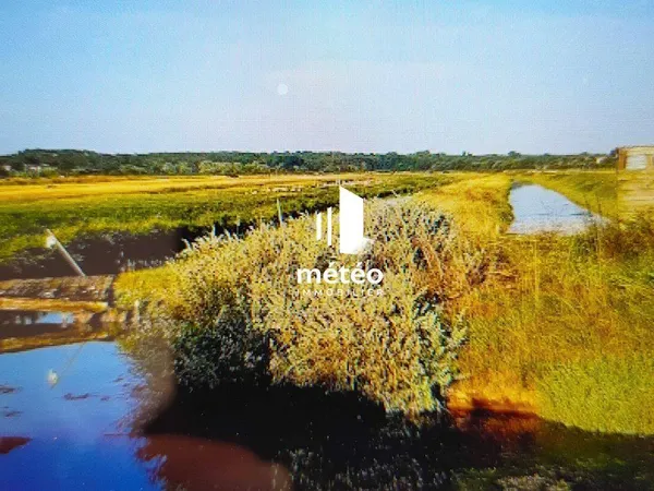 Propriété agricole 