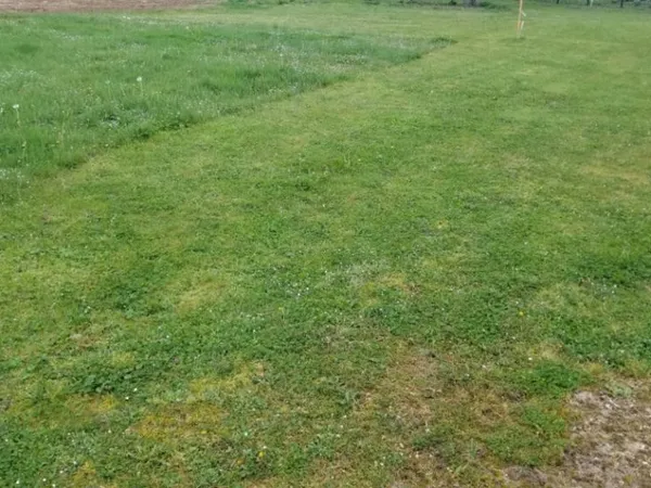 Terrain 575 m² 
