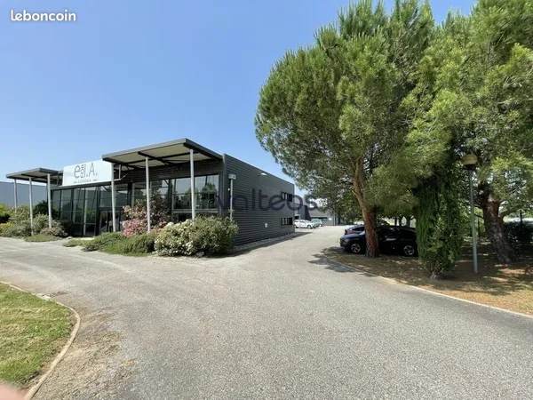 Local bureaux 2 055 m² 