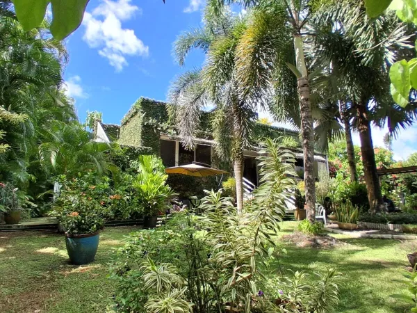 Un havre tropical avec rooftop : découvrez cette maison unique ! 