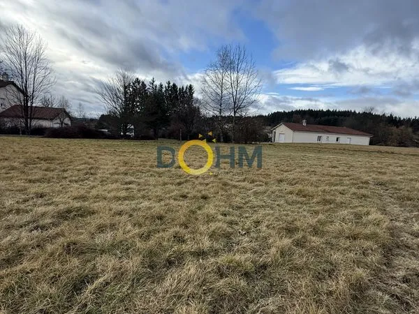 Terrain 690 m² Saint-Pal-de-Mons 