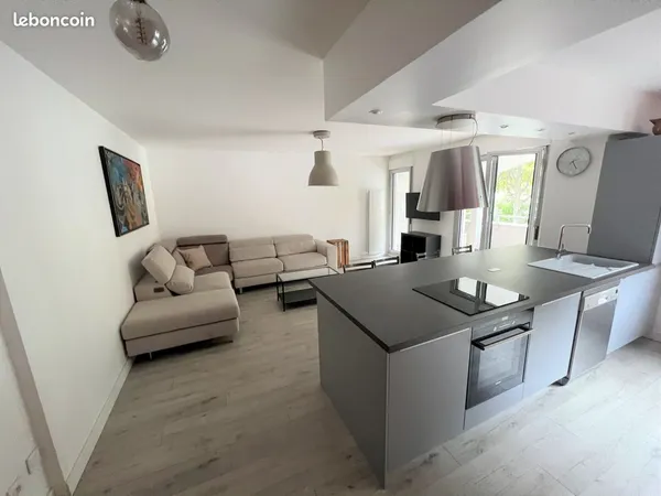 T2 Meublé - Quai du Rhône - 55m² 