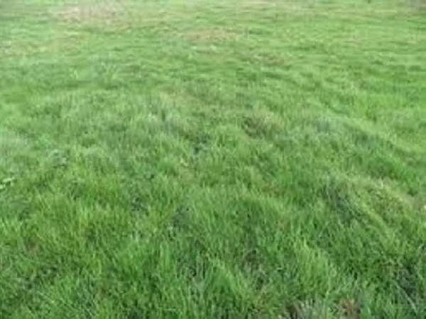Terrain 522 m² 