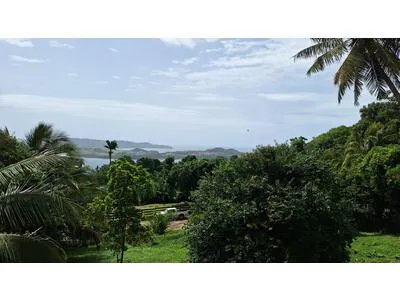 BEAU TERRAIN AVEC VUE 