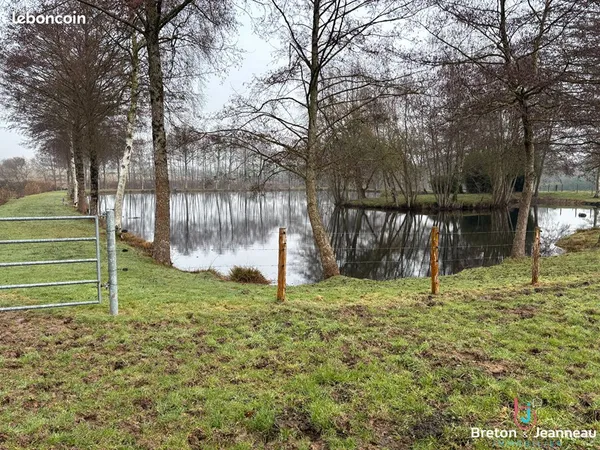Terrain 22200 m² CHALONS DU MAINE 