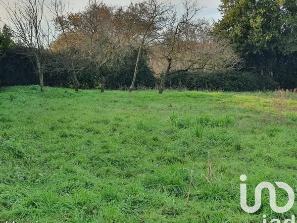 Terrain 1146 m² L' OIE 