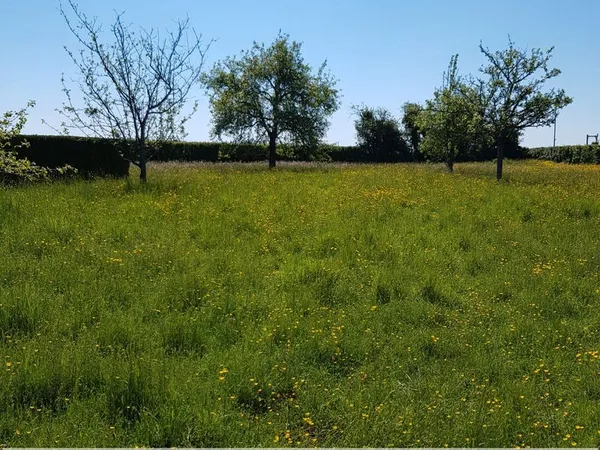 Terrain 690 m² POTIGNY 