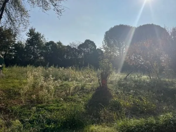 Terrain 504 m² Albi 