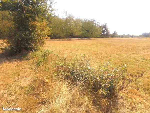 Terrain Grignols 