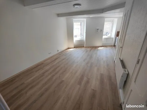 Appartement 2 pièces, 53m2 rénové, Bourgoin Centre 