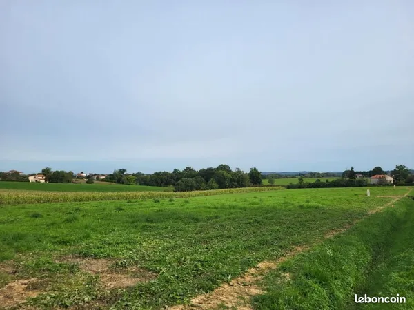 Terrain 1 250 m² Saint Gaudens 
