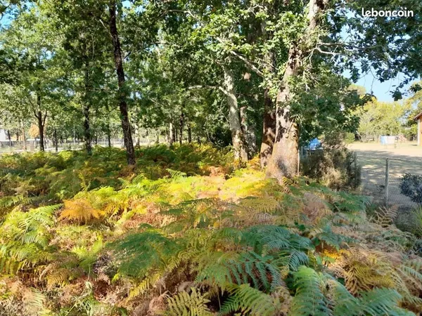 Terrain 800 m² Cabanac Et Villagrains 