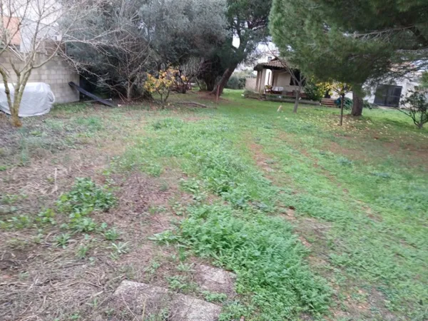 Terrain 238 m² 