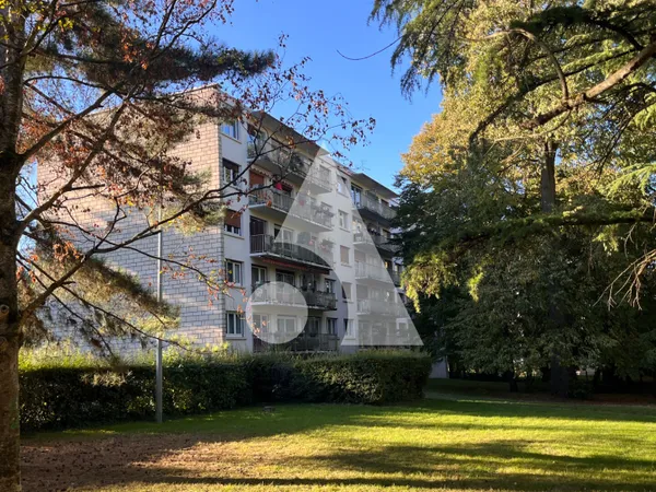 F3 avec vue sur Parc + grande cave + Box fermé 