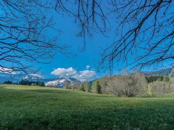 Terrain constructible au Mont d'Arbois 