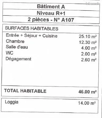 Appartement 2 pièces 46 m² 