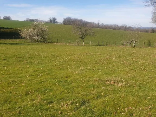 Terrain Vente Saint-Martin-Terressus  1660m² 28000€