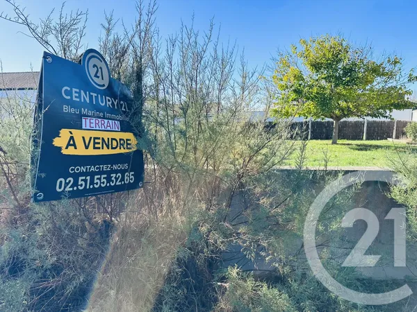 Terrain 320 m² 