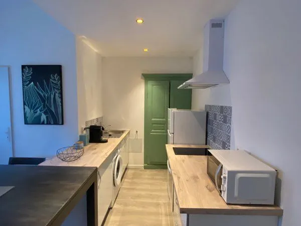 Studio meublé 37 m2 entièrement rénové 