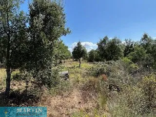 TERRAIN non constructible de 31 975 m2 dans un cadre calme e 