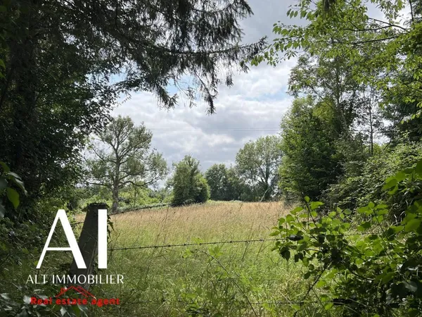 Terrain 4005 m² Briouze 