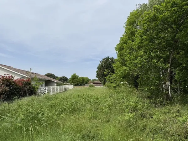 Terrain 1443 m² 