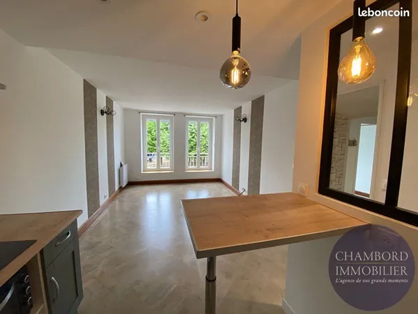 Bel appartement rénové de 56 m2 au coeur de Contres 
